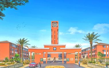 Universitas Terbaik di Cape Verde: Pilihan Studi di Kepulauan Atlantik